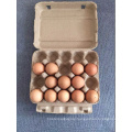 Disposable waterproof Pulp egg tray chicken egg cartons 4x3 cells